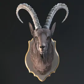 Siberian ibex
